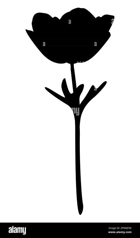 Poppy Flower Silhouette Vector Illustration Of Poppy For Printing And