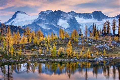 Monica Meadows Purcell Mountains British Columbia Alan Majchrowicz