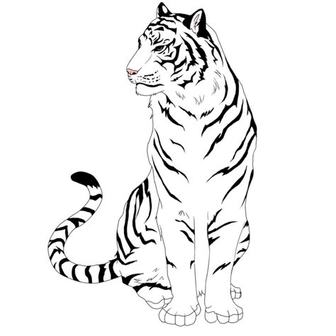 Tiger Coloring Pages For Kids Animal Place