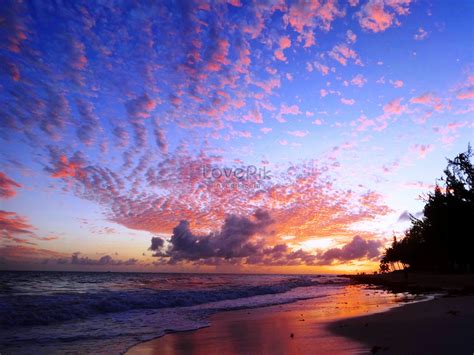 Beautiful Sunset On The Beach Of Barbados North America Picture And Hd