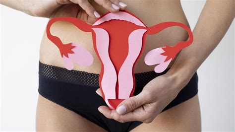 Què és el prolapse uterí Una patologia molt freqüent que afecta a