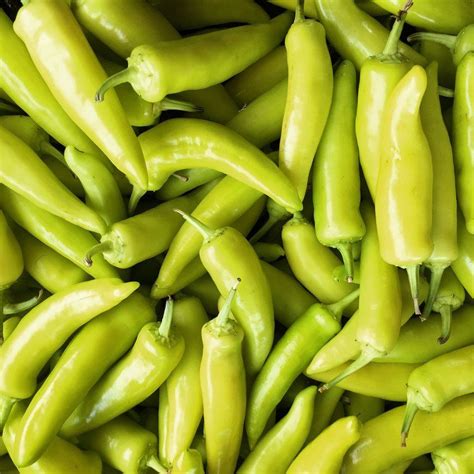 Pickled Hungarian Wax Peppers — Kneehigh Farm In 2020 Wax Pepper Recipe Stuffed Peppers