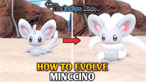 How To Evolve Minccino Into Cinccino In Pokemon Scarlet And Violet The