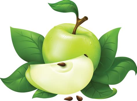 Green Apple Png Free Download Png Mart