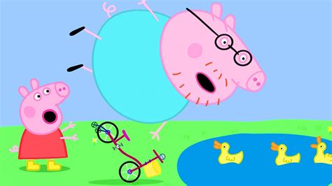Daddy Pig Gets Fit 🐷🚲 Peppapigofficial Youtube