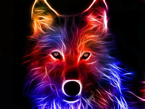 Colorful Wolf 1600x1200 Wallpapers