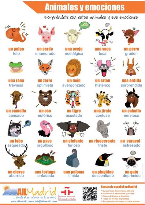 Vamos A Aprender Español Hoy En Clase Los Animales Y El Carácter