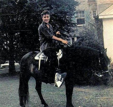 Elvis Presley On One Of His Horses At Graceland Cheval Actrice