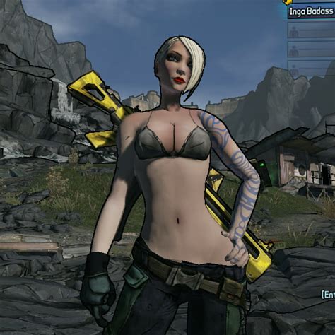 Yesterday I Found Out How To Make Mods For Borderlands This Is My First Tooks Hours Gag