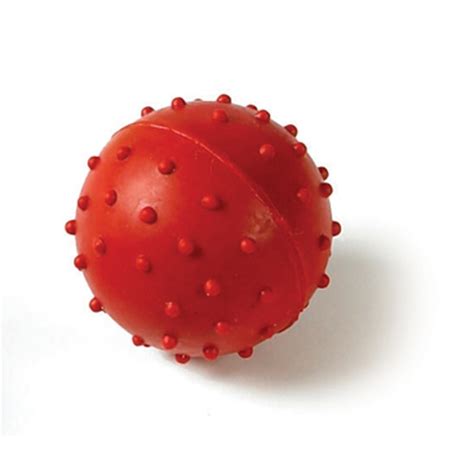 Classic Pimple Rubber Ball 🐶 Dog Toy