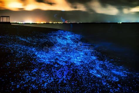 Bio Luminescence Illumination Of Plankton At Maldives Many Bri Stock