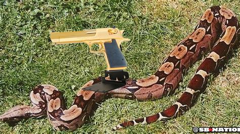 Dwight Howard Has 50 Guns And 20 Snakes