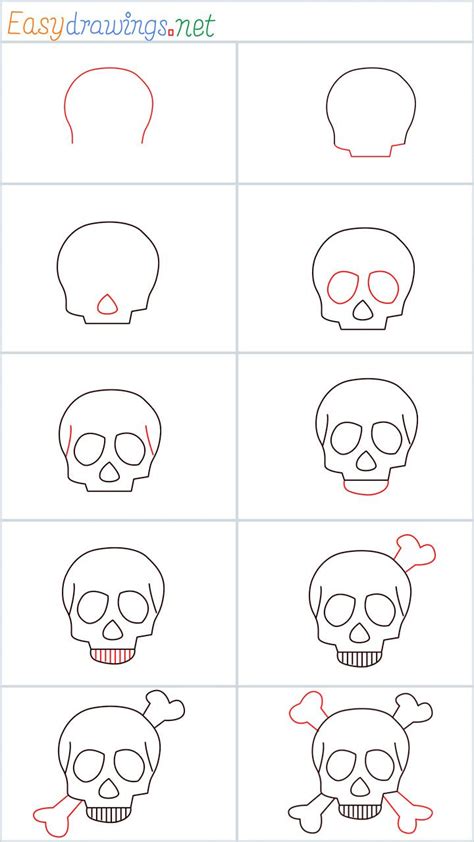 How To Draw A Skull Step By Step 10 Easy Phase Easy Skull