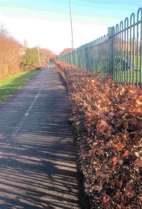 We did not find results for: Cycle track | Steve Galloway