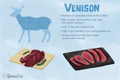 15 Types Of Meat A Comprehensive List With Insights 2023