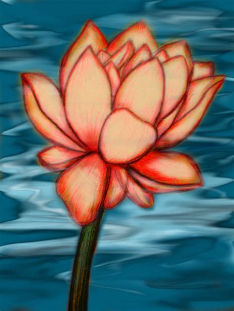 Water Lily By Bugzattack On Deviantart