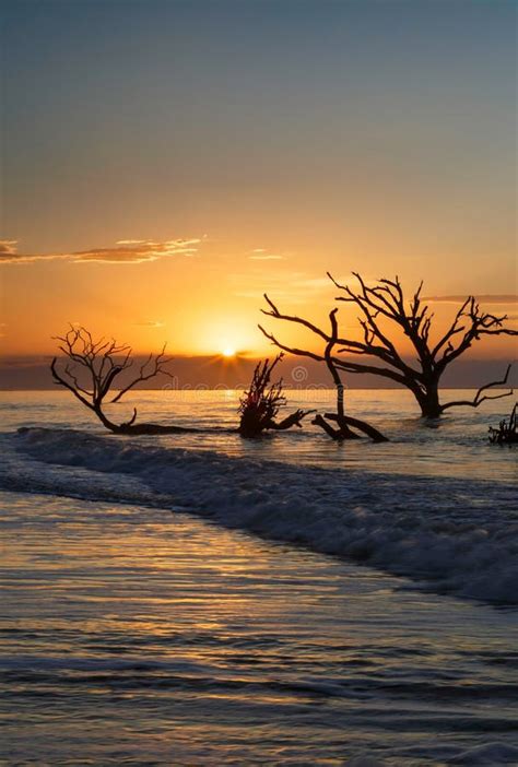 Botany Bay Ocean Edisto Island Charleston South Carolina Stock Image