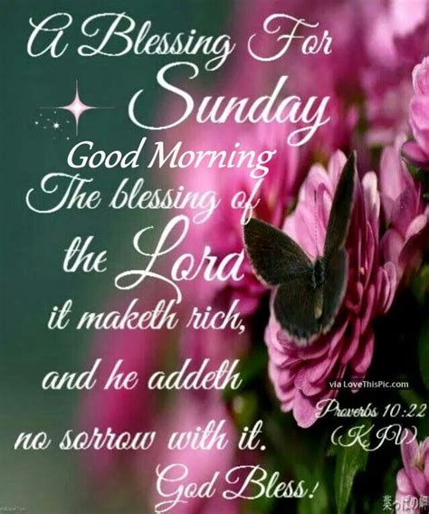 Good Morning A Blessing For Sunday Happy Sunday Quotes Blessed