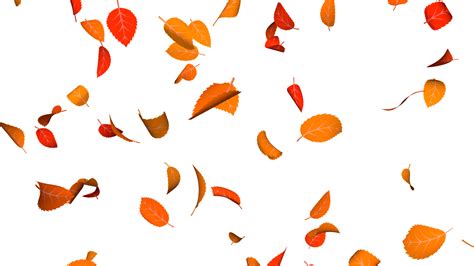 Autumn Leaves Falling Colorful Orange And Yellow Theme Thanksgiving
