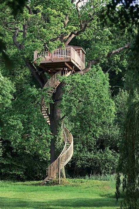 Home The Owner Builder Network Tree House Designs Cool Tree Houses