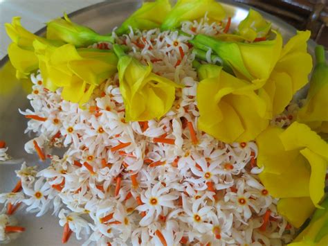 Not to worry, there's still a collection of plants that will make your loved one smile. My Panchakarma Life in Rishikesh | One Girl's Adventures