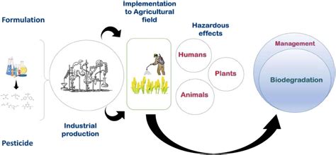 Frontiers Current Status Of Pesticide Effects On Environment Human Health And Its Eco