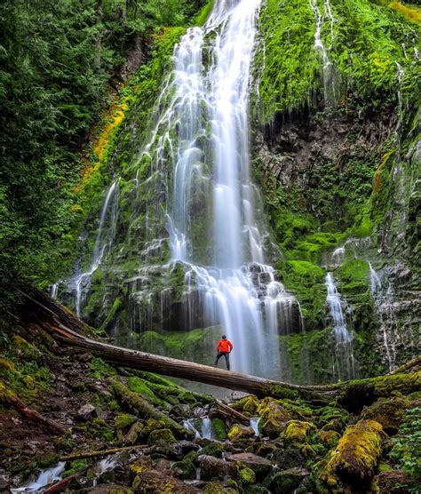 Proxy Falls Oregon Photo By Shawn Walters Nature And Adventure