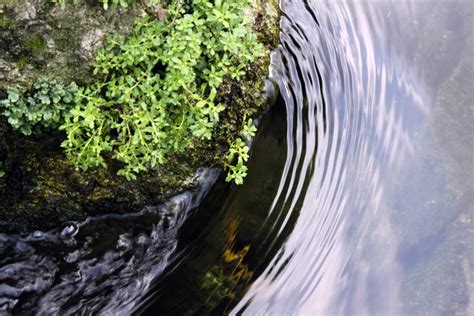 Free Images Rock River Stream Water Resources Watercourse