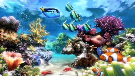 48 Animated Fish Aquarium Desktop Wallpapers Wallpape