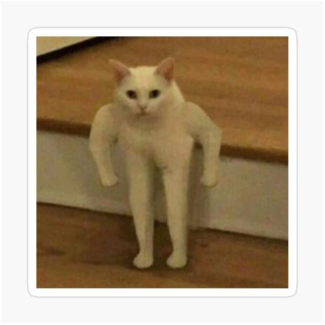 Cat Standing Meme Template