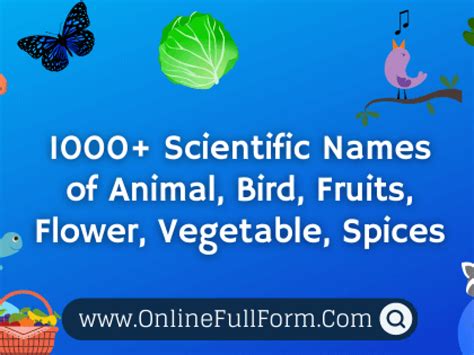 Top 105 A To Z Animals Scientific Names