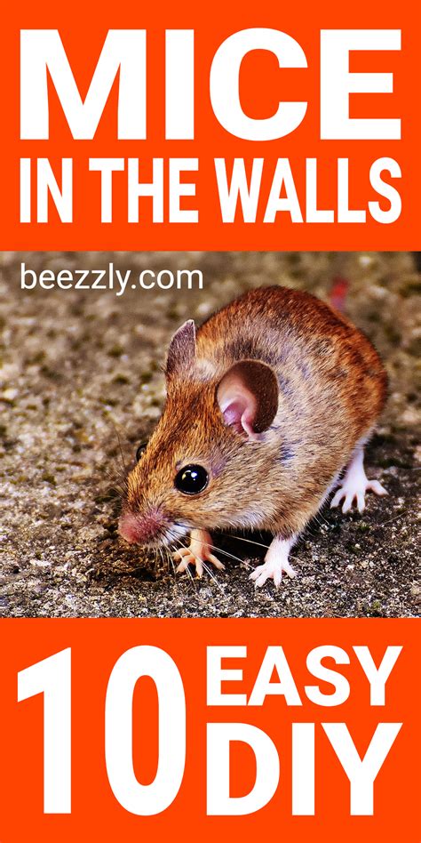 Mice in the Walls | 10 EASY DIY | Getting rid of mice, Getting rid of rats, Mice infestation
