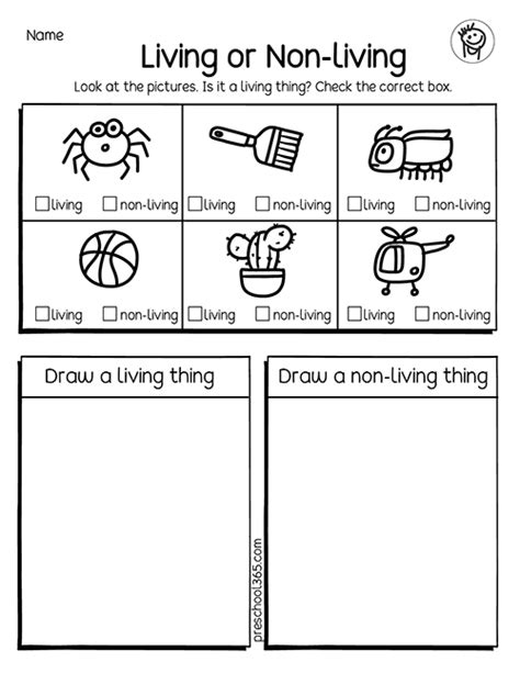 Living And Non Living Things Activities For Children