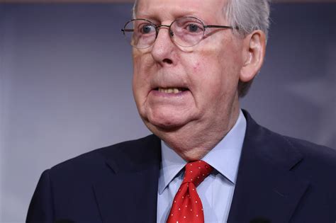 Mitch Mcconnell Talks About Voter Fraud And How Elections Are Stolen At