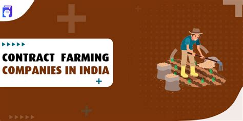 10 Top Contract Farming Companies In India Daulat Farms Daulat