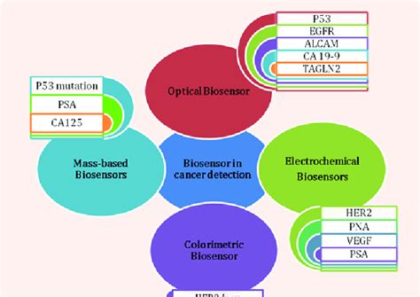 Common Biomarkers Utilized For Cancer Detection Download Scientific