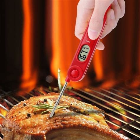 How To Use Your Instant Read Meat Thermometer Whiteout Press