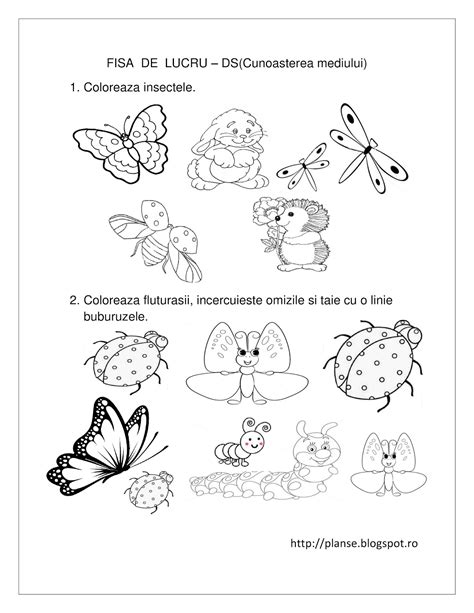 Planse De Colorat Si Fise Pentru Copii Ds Fise De Lucru Cu Insecte