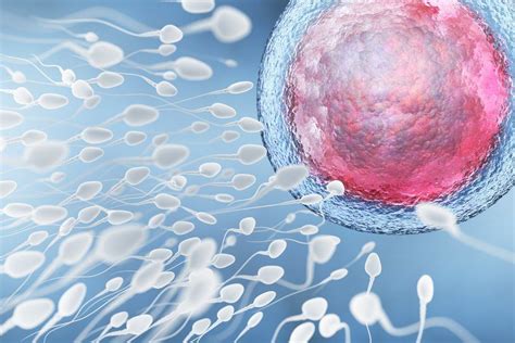 qual é o gosto do esperma e 8 outros fatos únicos sobre o esperma