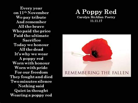 We Wear A Poppy On Remembrance Day Poem