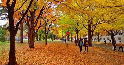 10 Best Places To Visit In Sapporo In Autumn Kyuhoshi