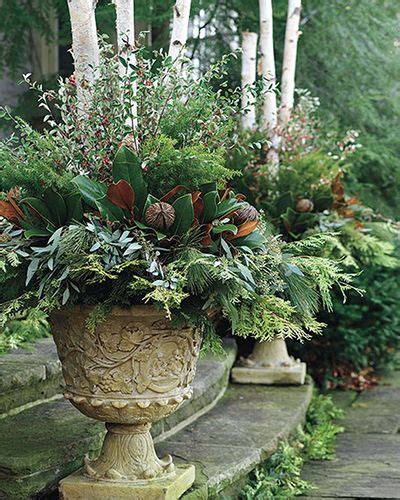 Be Inspired Winter Container Ideas For Cold Zones Winter Container
