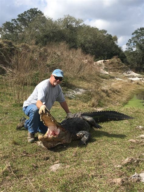 Trophy Florida Gator Hunting By Get Bit Outdoors Gator Wild Boar