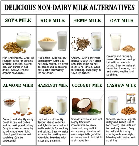 Delicious Non Dairy Milk Alternatives Useful Information