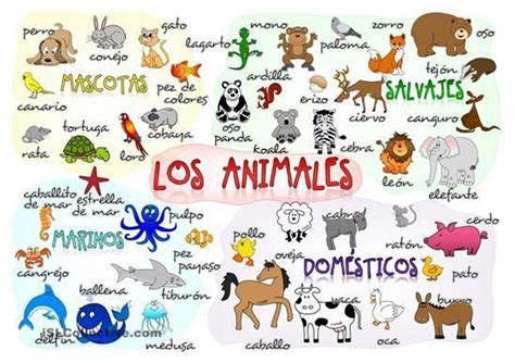 Aprender los nombres de los animales en inglés y español resulta muy beneficioso para los peques. Résultat de recherche d'images pour "vocabulario español ...