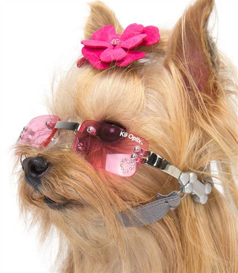 Dog Sunglasses Reviews √ Ideal Dog Protective Eyewear And Eyeglasses Dog