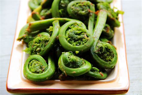 What Are Fiddlehead Ferns And How Are They Used