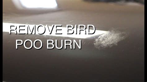 Sand point, alaska, united states of america time. DIY: Wet-Sand Bird Poo Stain from Black Paint - YouTube