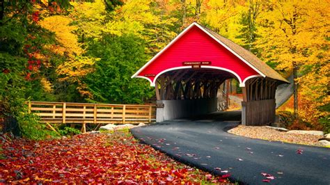 Covered Bridge Road Between Beautiful Colorful Autumn Trees Forest