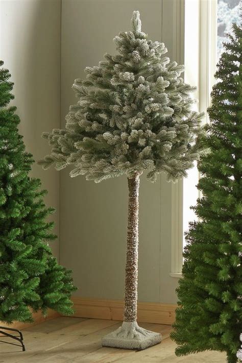 25 Slim Christmas Trees For Small Spaces Pencil